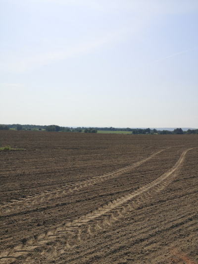 Działka budowlana 1000 m2 prodtokt -
Dolnośląskie Zdjęcie nr 10