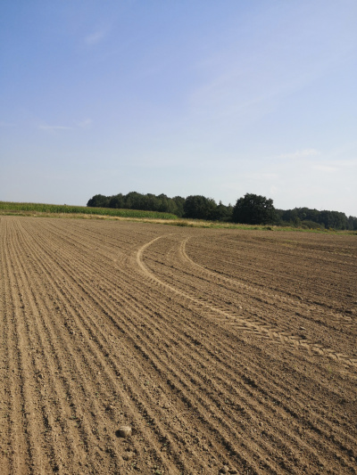 Działka budowlana 1000 m2 prodtokt -
Dolnośląskie Zdjęcie nr 6