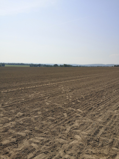 Działka budowlana 1000 m2 prodtokt -
Dolnośląskie Zdjęcie nr 2