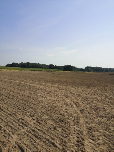 Działka budowlana 1000 m2 prodtokt -
Dolnośląskie Zdjęcie nr 11