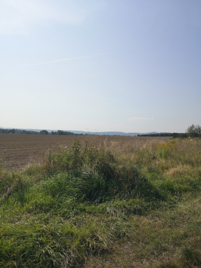 Działka budowlana 1000 m2 prodtokt -
Dolnośląskie Zdjęcie nr 9