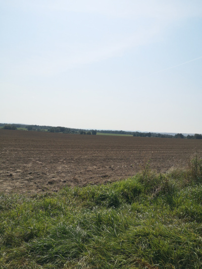 Działka budowlana 1000 m2 prodtokt -
Dolnośląskie Zdjęcie nr 13