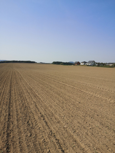 Działka budowlana 1000 m2 prodtokt -
Dolnośląskie Zdjęcie nr 3