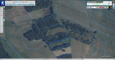 Grunty rolne Ł4 | 2.16ha | Ruda Wolińska 08-117 | 23km od Siedlec | OKAZJA -
mazowieckie Zdjęcie nr 17