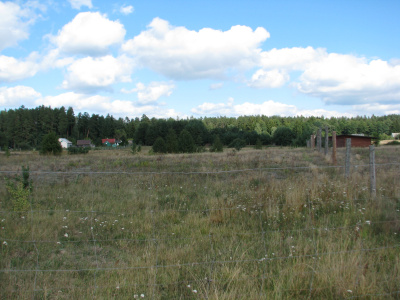 Atrakcyjna działka w sercu Puszczy Augustowskiej - jeziora, cisza, 10 min od Augustowa -
Podlaskie Zdjęcie nr 3