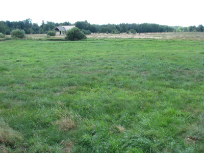 Atrakcyjna działka w sercu Puszczy Augustowskiej - jeziora, cisza, 10 min od Augustowa -
Podlaskie Zdjęcie nr 6