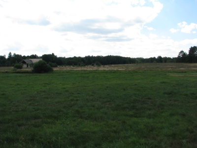 Atrakcyjna działka w sercu Puszczy Augustowskiej - jeziora, cisza, 10 min od Augustowa -
Podlaskie Zdjęcie nr 5