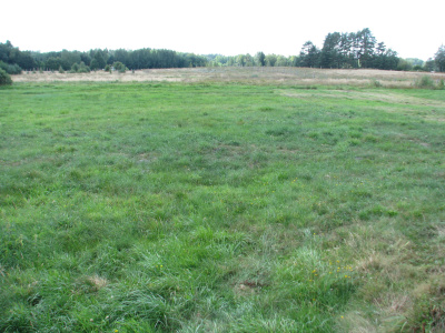 Atrakcyjna działka w sercu Puszczy Augustowskiej - jeziora, cisza, 10 min od Augustowa -
Podlaskie Zdjęcie nr 7