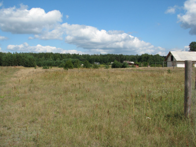 Atrakcyjna działka w sercu Puszczy Augustowskiej - jeziora, cisza, 10 min od Augustowa -
Podlaskie Zdjęcie nr 4