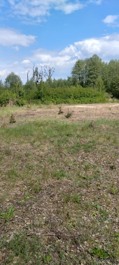 Działka budowlana 3000 m² – Kazuń Bielany, blisko Warszawy -
Mazowieckie Zdjęcie nr 4