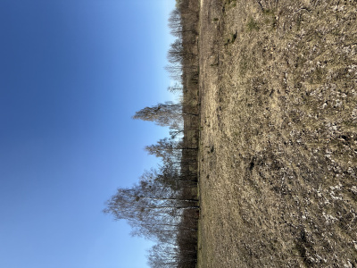 Działka budowlana 3000 m² – Kazuń Bielany -
Mazowieckie Zdjęcie nr 9