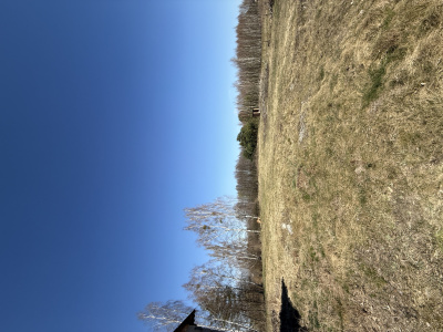 Działka budowlana 3000 m² – Kazuń Bielany - Mazowieckie