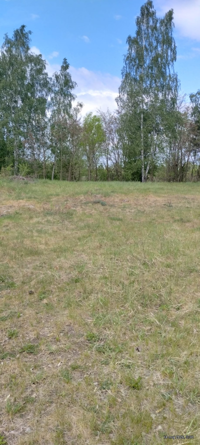 Działka budowlana 3000 m² – Kazuń Bielany, blisko Warszawy -
Mazowieckie Zdjęcie nr 2