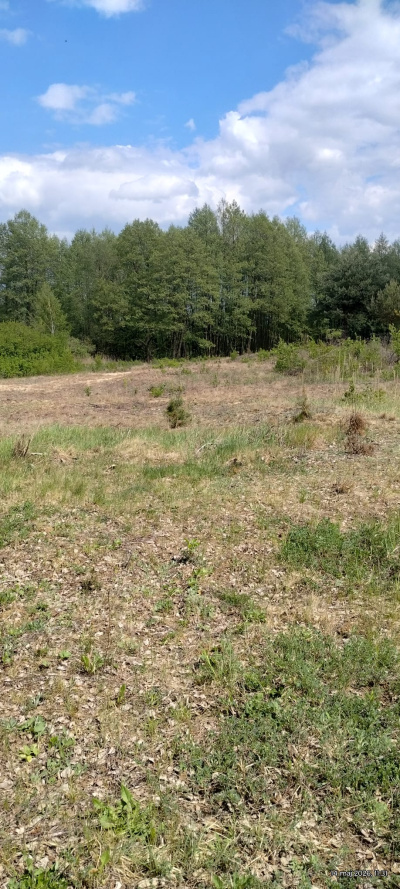 Działka budowlana 3000 m² – Kazuń Bielany, blisko Warszawy - Mazowieckie