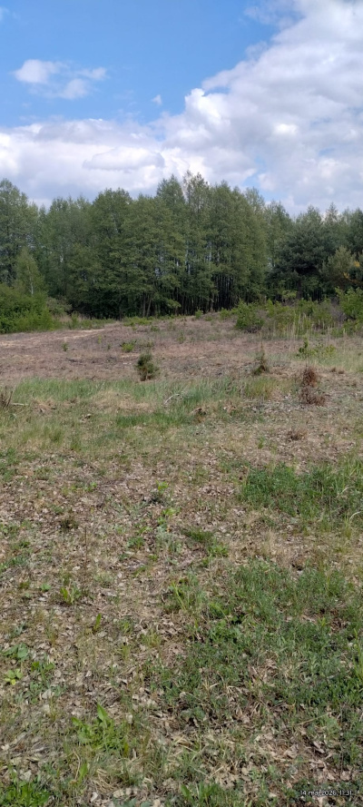 Działka budowlana 3000 m² – Kazuń Bielany, blisko Warszawy -
Mazowieckie Zdjęcie nr 5
