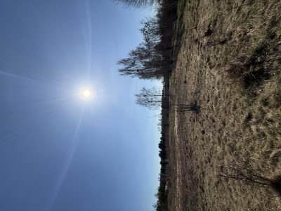 Działka budowlana 3000 m² – Kazuń Bielany, blisko Warszawy -
Mazowieckie Zdjęcie nr 9