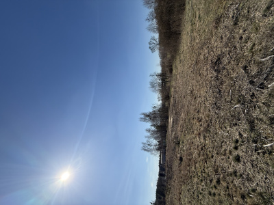 Działka budowlana 3000 m² – Kazuń Bielany, blisko Warszawy -
Mazowieckie Zdjęcie nr 12