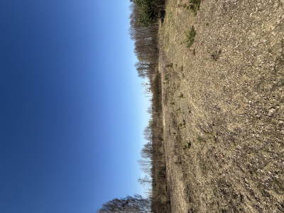 Działka budowlana 3000 m² – Kazuń Bielany, blisko Warszawy -
Mazowieckie Zdjęcie nr 3