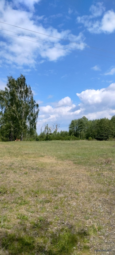 Działka budowlana 3000 m² – Kazuń Bielany, blisko Warszawy -
Mazowieckie Zdjęcie nr 3