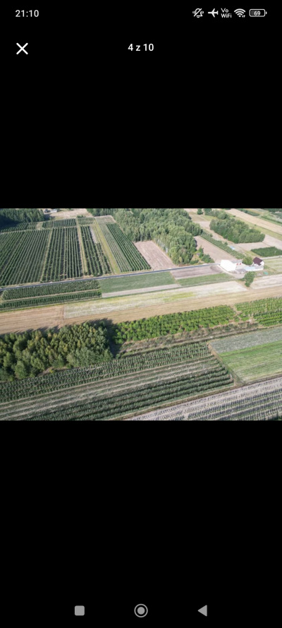 Sprzedam dwie działki w pakiecie, po 3000 m2 każda Piekut gm. Chynów -
Mazowieckie Zdjęcie nr 14