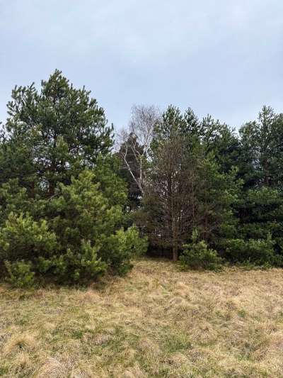 Działka budowlana 2370 m² Zendek gm. Ożarowice (3309/3) -
Śląskie Zdjęcie nr 8