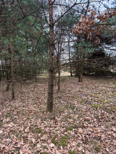 Działka budowlana 2370 m² Zendek gm. Ożarowice (3309/3) -
Śląskie Zdjęcie nr 5