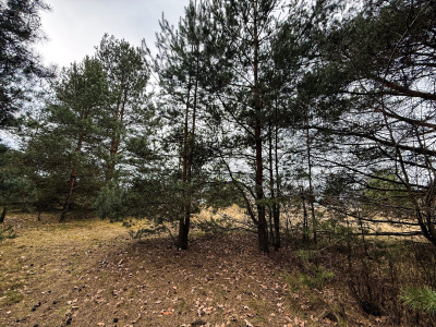 Działka budowlana 2370 m² Zendek gm. Ożarowice (3309/3) -
Śląskie Zdjęcie nr 12