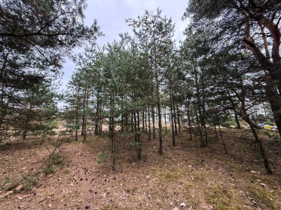 Działka budowlana 2370 m² Zendek gm. Ożarowice (3309/3) -
Śląskie Zdjęcie nr 11